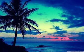 Every Thing HD Wallpaper Sunrise Beautiful