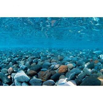 Marina River Rock Sea Of Green Aquarium Background