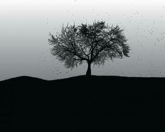 Black And White Graphics Normal