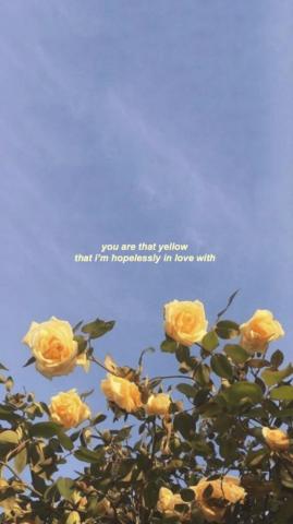 Aesthetic Hipster Wallpaper On