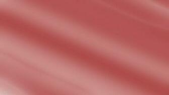 Pin Soft Pink Rose Wallpaper