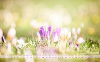 March HD Wallpaper Background Hq