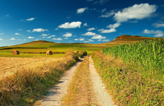 Country Roads Wallpaper
