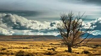 New Zealand Wallpaper Best