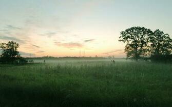 Green Field And Mist Wallpaper Stock Photos