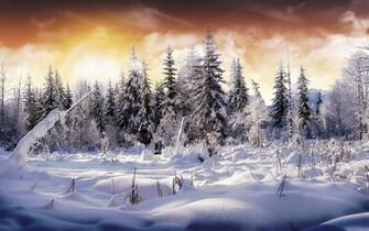 Beautiful Winter Wallpaper For Dekstop