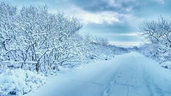 Wallpaper Snow Trees Road Traces Winter Cloudy 4k