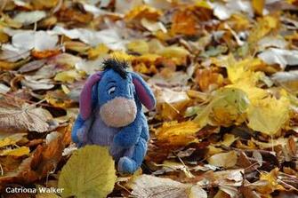 Autumn Eeyore I Want Leaves Sad Winnie The Pooh