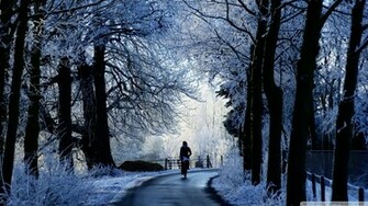 Winter Road Scene Wallpaper