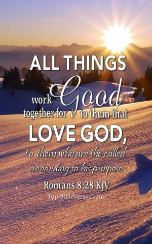 Bible Verse Mobile Wallpaper Android And iPhone HD Background