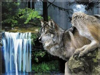 Wolf Computer Wallpaper Desktop Background
