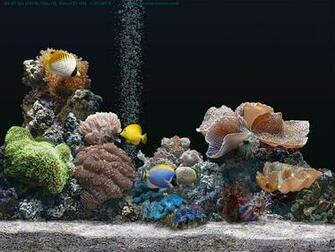 3d marine aquarium screensaver free download