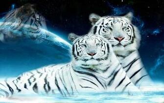 Tiger Live Wallpaper HD Screenshot