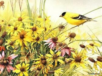 Backyard Birds Beautiful Paintings Small Bird Illustration