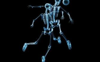 Funny Skeleton Wallpaper Buzz
