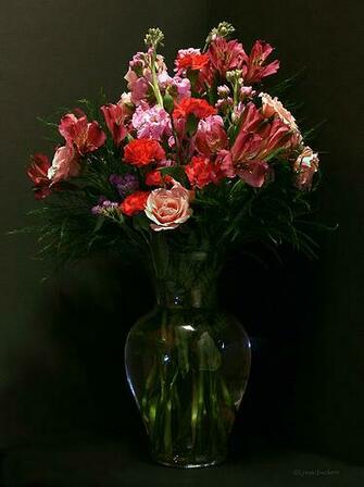 Look What The Florist Delivered Today
