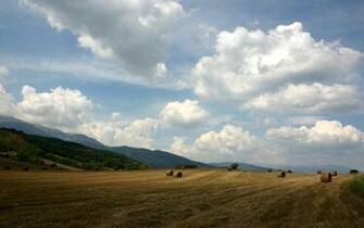 Hay Bales Wallpaper