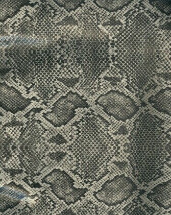Snake Skin Gray And Black By Paintresseye