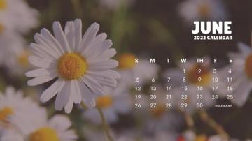 June Calendar Background HD Net