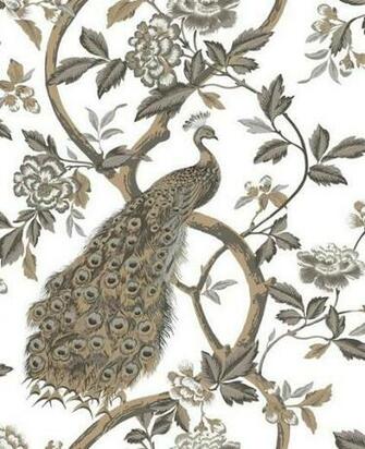 Home Wallpaper Contemporary Peacock Trail
