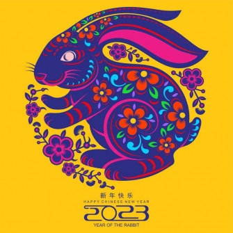 Lunar New Year Celebrations In Charlotte On