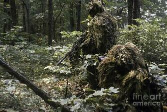 Marine Sniper Team Wearing Camouflage By Stocktrek Image