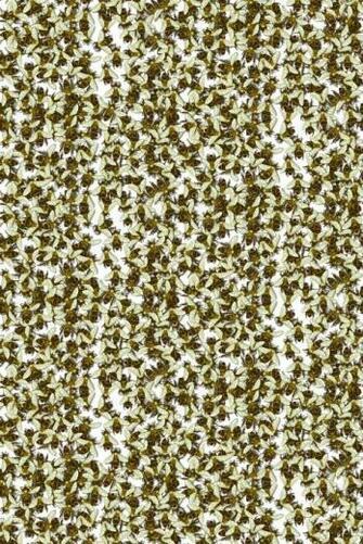 Napoleon Bee