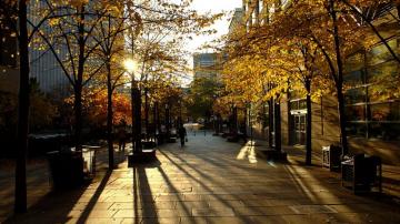 Toronto HD Wallpaper Background Image