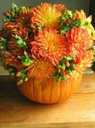 Fall Flowers And Pumpkins Fabulous Flower