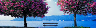 Spring Dual Monitor Wallpaper