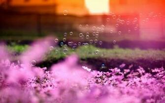 Collection Great Pictures Pure High Definition HD You Can
