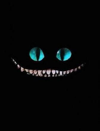 Cat Smile iPhone Lock Screen Wallpaper Disney