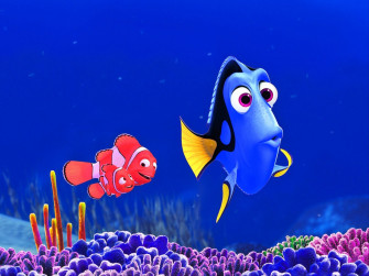 Finding Nemo HD Wallpaper