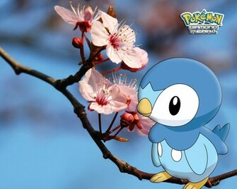 Pokemon Blossom Wallpaper