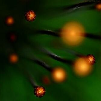 Roundup Awesome Retina iPad Wallpaper Crispme