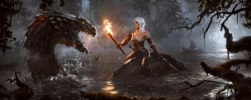 Witcher Wild Hunt Fantasy Action Fighting Warrior Dark