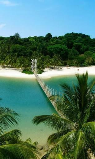 Palawan Resorts Wallpaper For Android Appszoom
