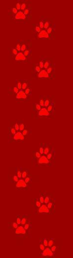 Dog Paw Print Wallpaper On