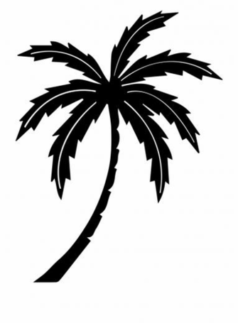 Palm Tree Tropic Black And White Clipart No
