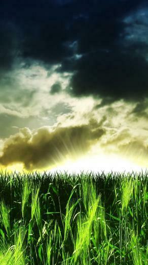 Blackberry Themes Samsung Galaxy Grand Wallpaper