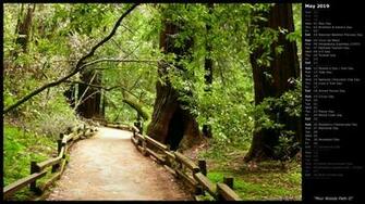 Mlewallpaper Muir Woods Path Ii Calendar