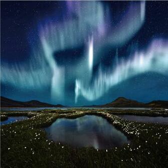 Northern Light Photo Wallpaper Wall Art