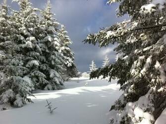 Winter Wonderland In Dolly Sods National Geographic Photo Contest