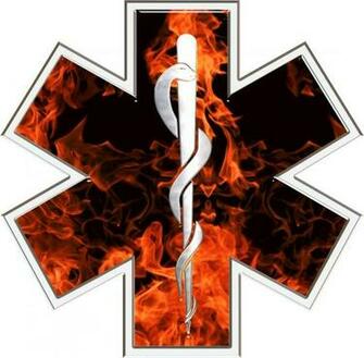 Ems Wallpaper S Itm Star Of Life