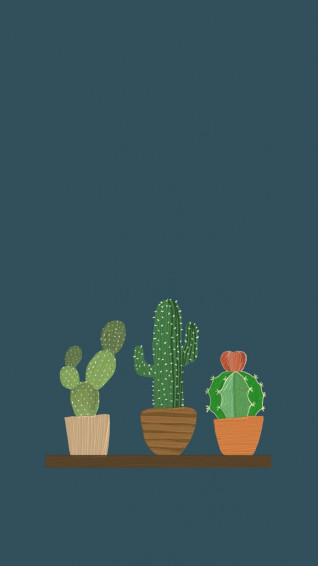 Cute Cactus Wallpaper For iPhone