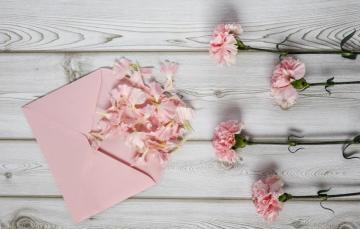 Wallpaper Flowers Petals Pink Wood Carnation