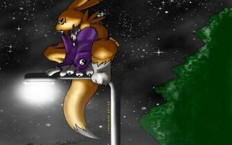 Random Renamon Walpapers Wallpaper