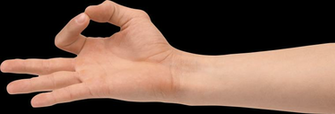 Arms Clipart Transparent Background