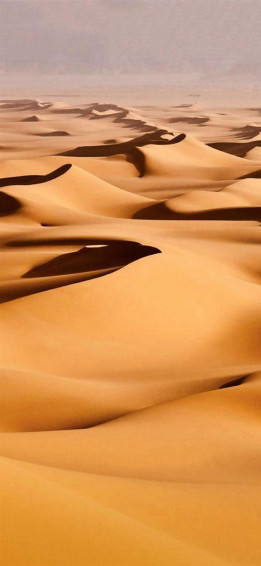 Pure Nature Wide Endless Desert Landscape iPhone Wallpaper