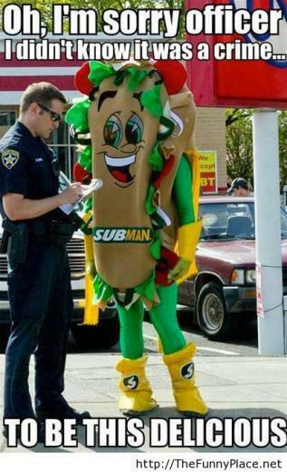 Awesome Police Wallpaper Officer Funny Picture